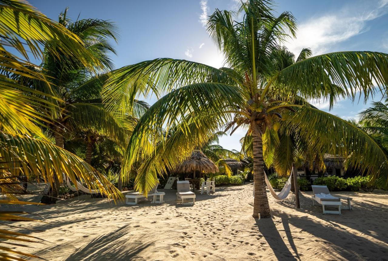 Caribbean Beach Cabanas Placencia Bagian luar foto