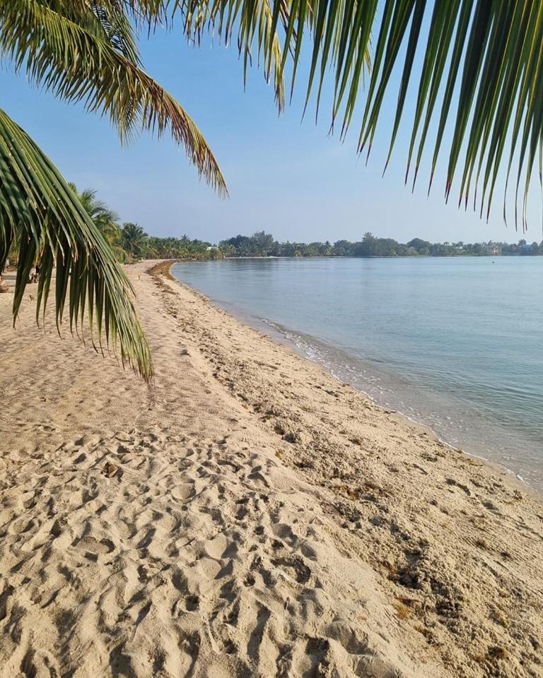 Caribbean Beach Cabanas Placencia Bagian luar foto