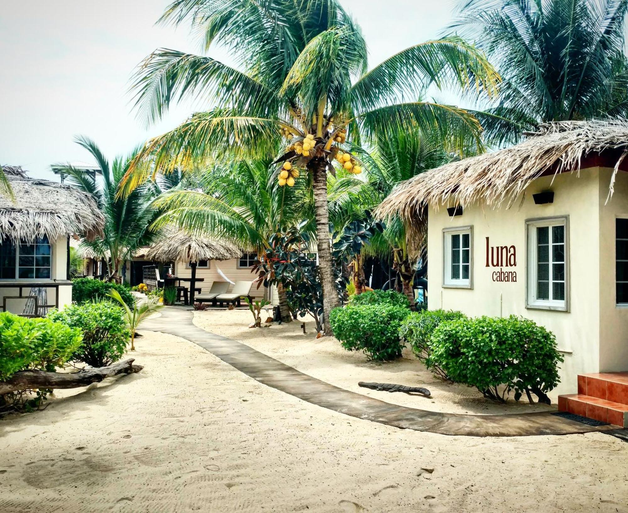 Caribbean Beach Cabanas Placencia Bagian luar foto